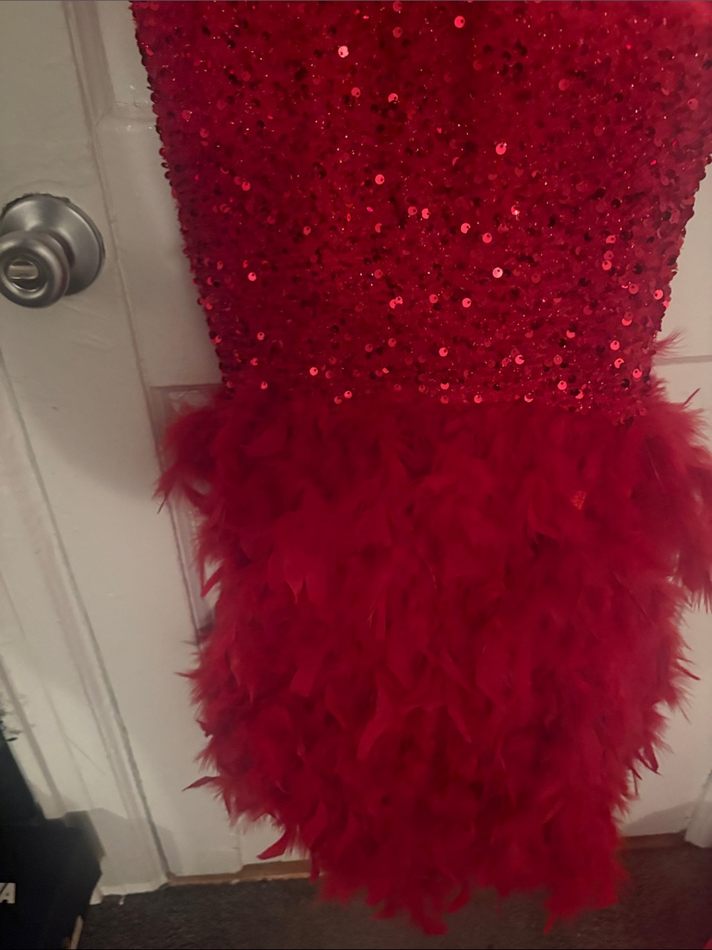 Red Dress - Picture 3 of 3